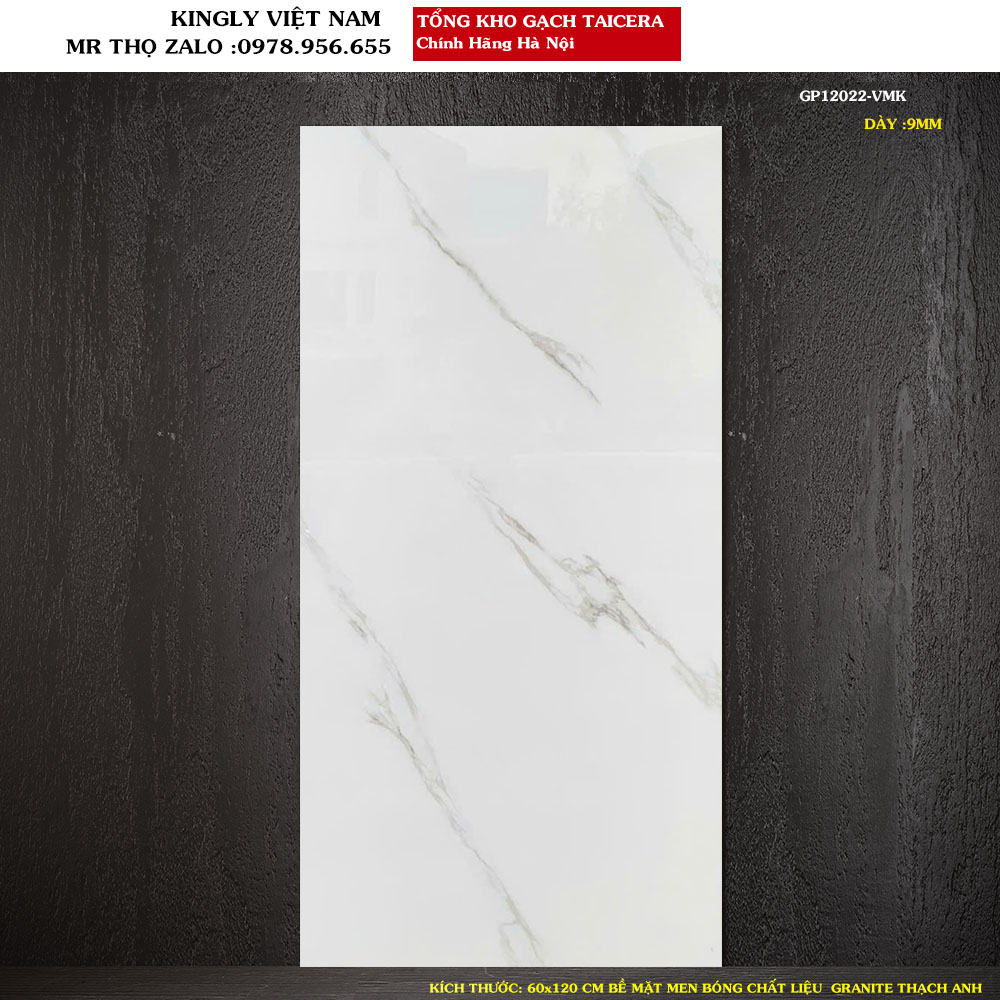 Gạch Granite Taicera 60x120 cm GP12022 Loại 1